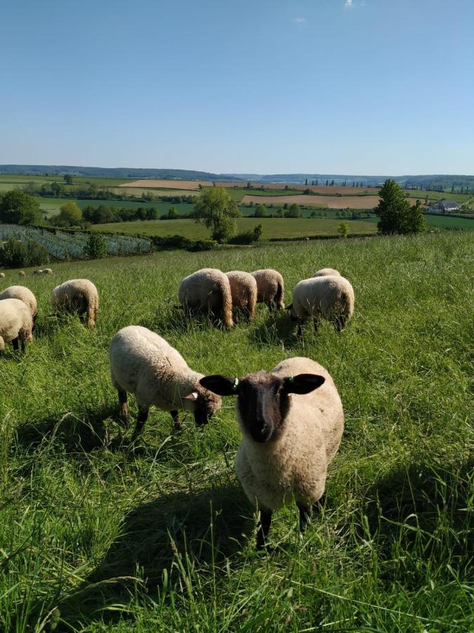 Zuid Limburg Huisje Josefien Simpelveld Eksteriør bilde