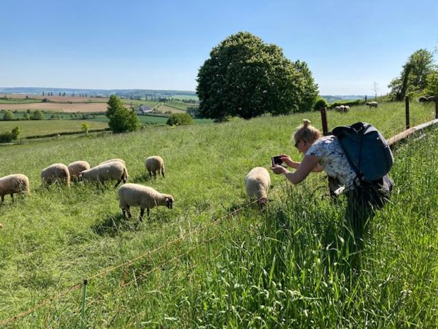 Zuid Limburg Huisje Josefien Simpelveld Eksteriør bilde